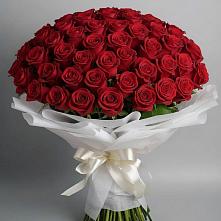 Букет 101 Красная роза Блэк Мэджик в Умёте