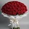 Букет 101 Красная роза Блэк Мэджик в Умёте