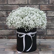 Цветочная композиция из Гипсофила в шляпной коробке в Умёте